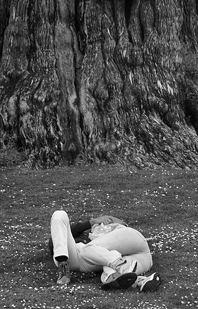 DSC_0191