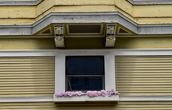 DSC_0185