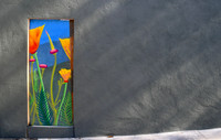SF In Color 5