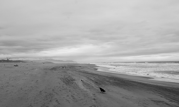 DSC_0039