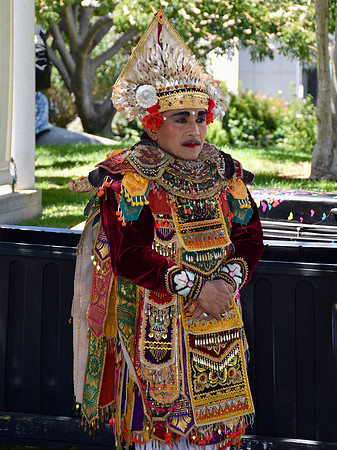 DSC_0290