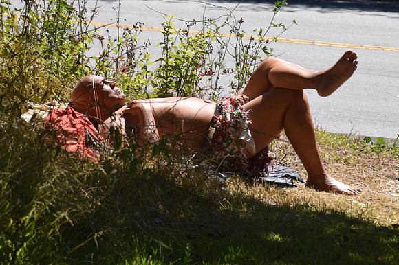 DSC_0015
