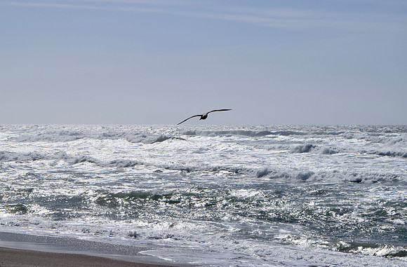 DSC_0247