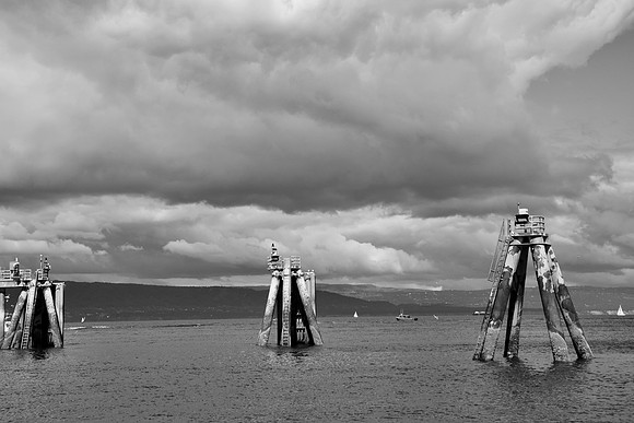 DSC_0773