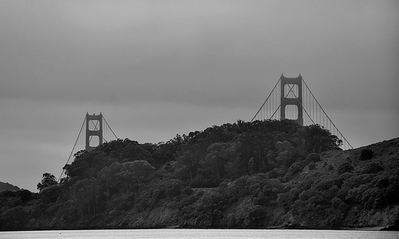 DSC_0107