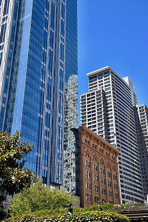 DSC_0365