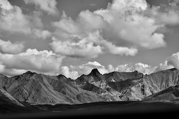 DSC_0351