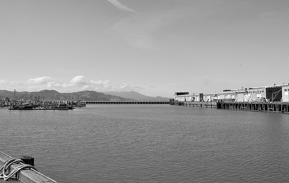 DSC_0043