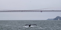 DSC_0151 (1)