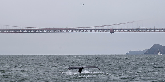 DSC_0151 (1)