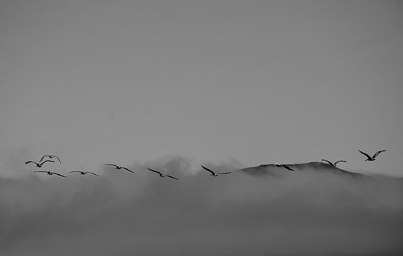 DSC_0007