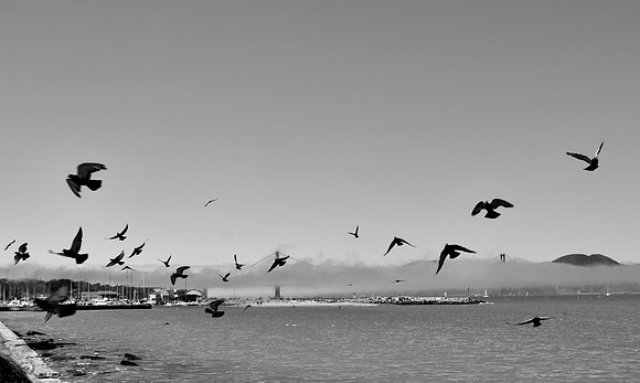 DSC_0009