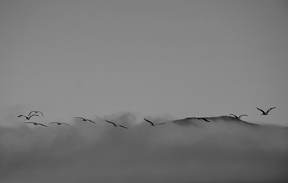 DSC_0007