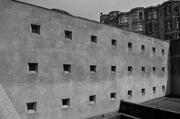 DSC_0049 (1)