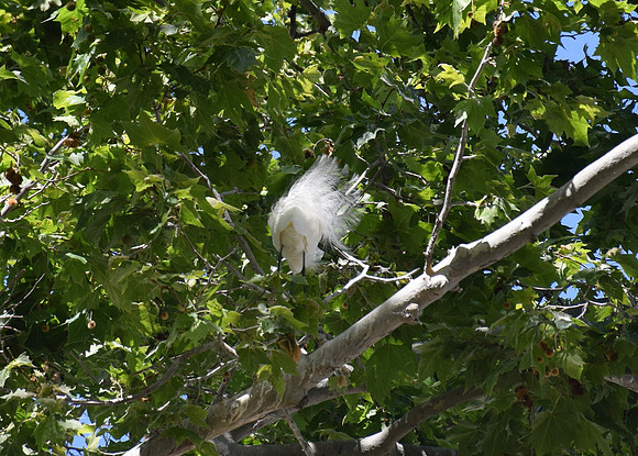 DSC_0123