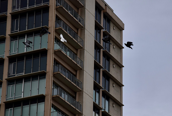 DSC_0054
