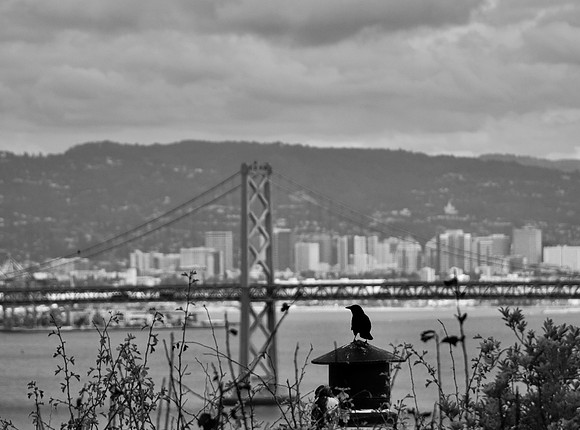 DSC_0004