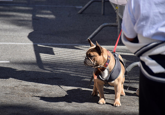 DSC_0175