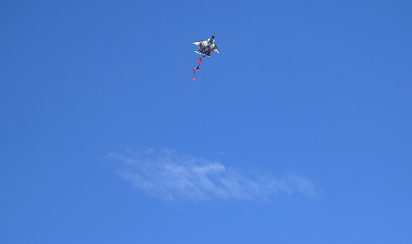DSC_0019 2