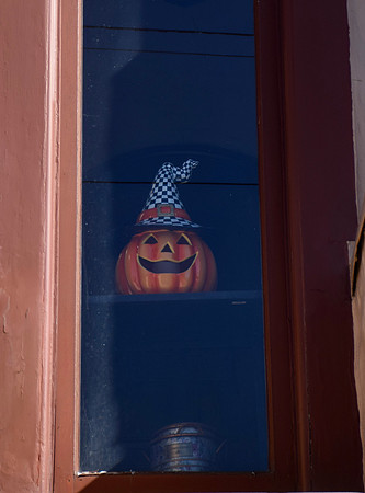 DSC_0113