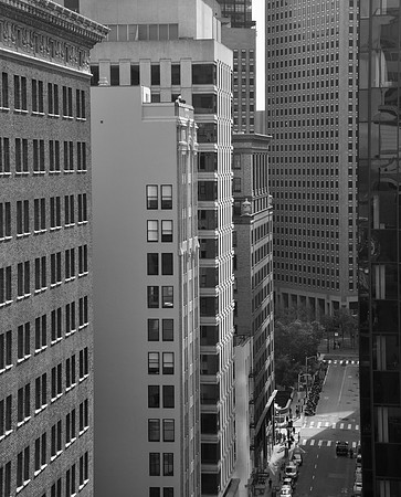 DSC_0052