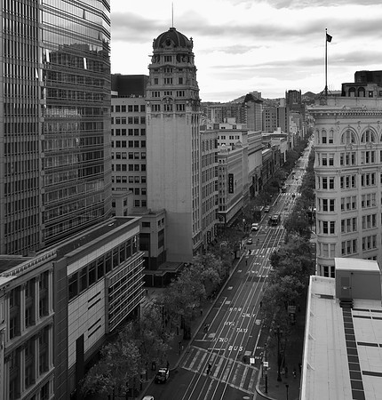 DSC_0100