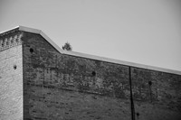 DSC_0006