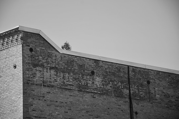 DSC_0006