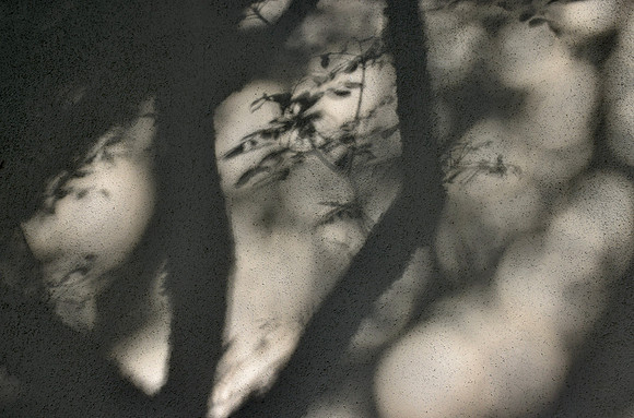 DSC_0014