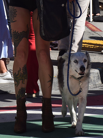 DSC_0206