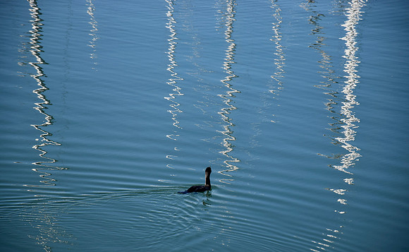 DSC_0021