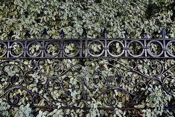 DSC_0036