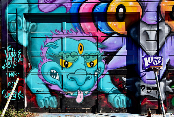 DSC_0024