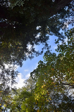 DSC_0057