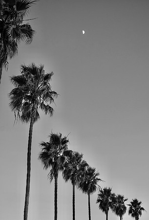 DSC_0152