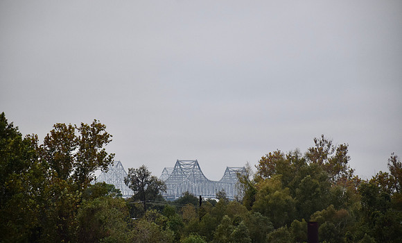 DSC_0310
