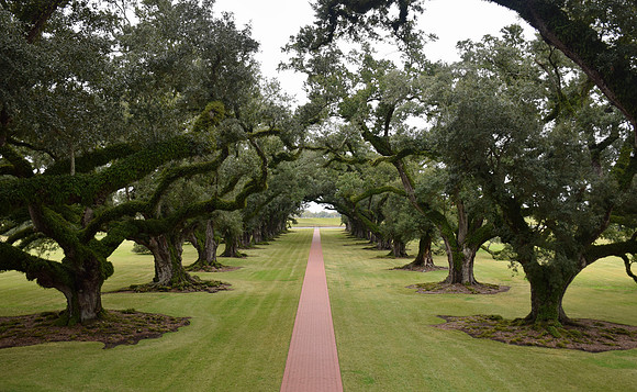 DSC_0556