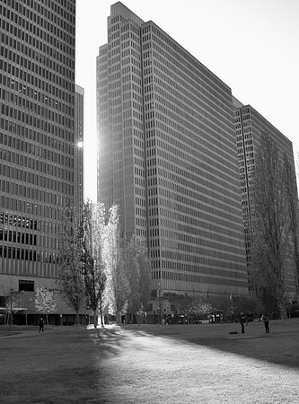 DSC_0006