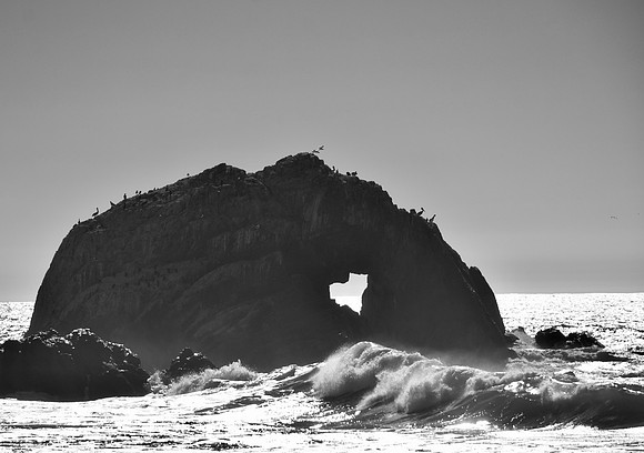 DSC_0158