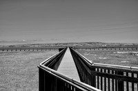 DSC_0005
