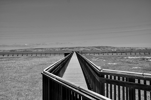 DSC_0005