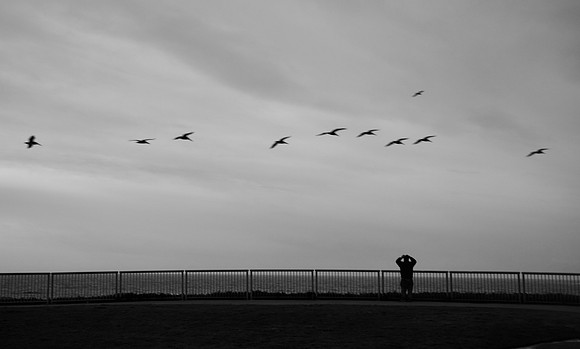 DSC_0299