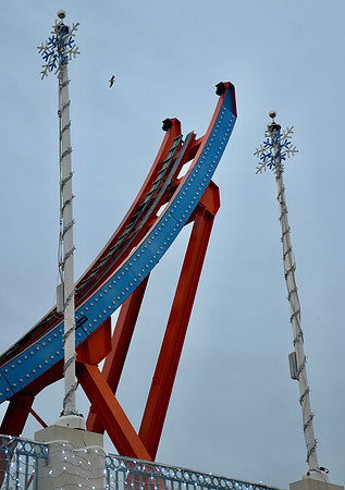 DSC_0241