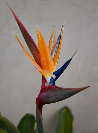 DSC_0059