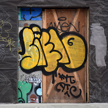 DSC_0019