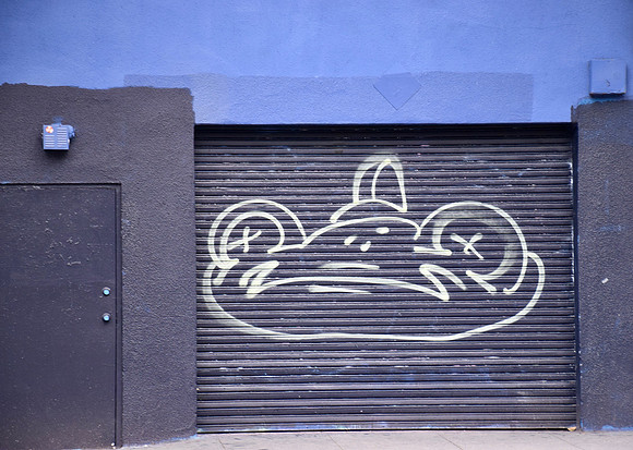 DSC_0113