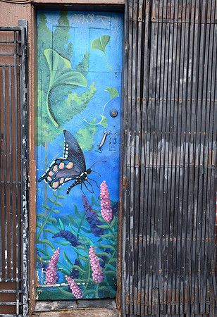DSC_0114