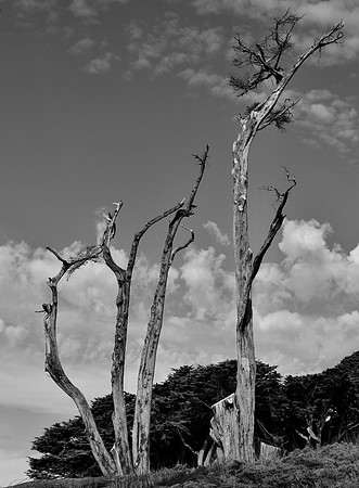 DSC_0001