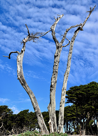 DSC_0002