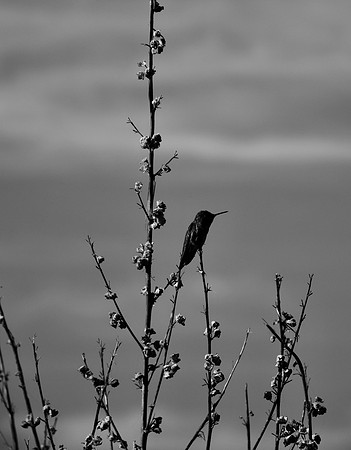 DSC_0050